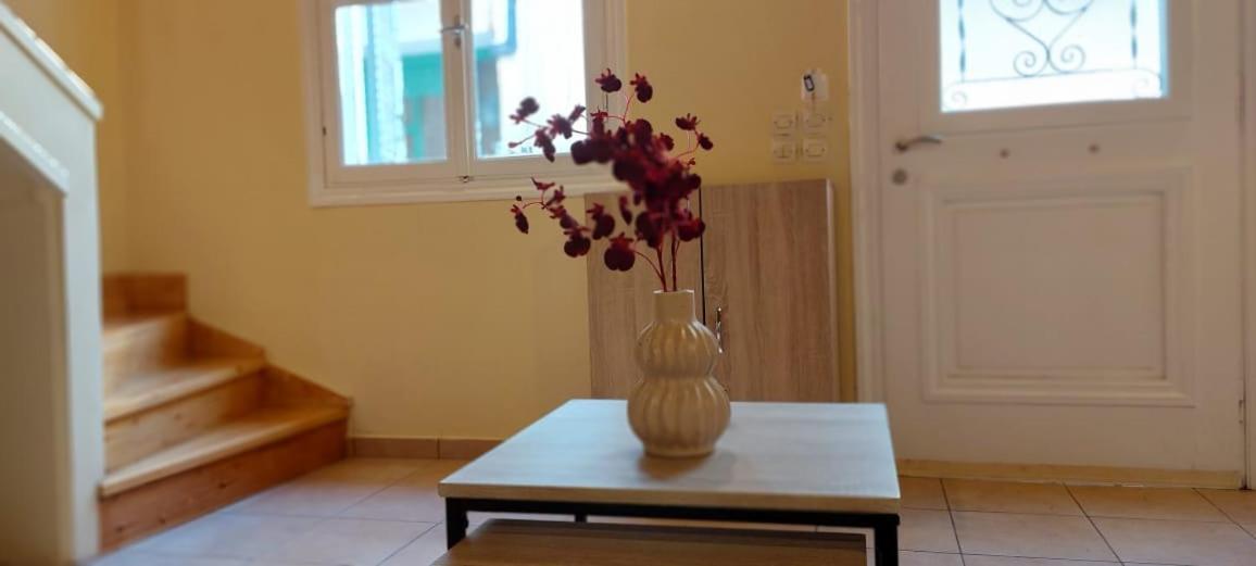George Apartment Lefkáda エクステリア 写真